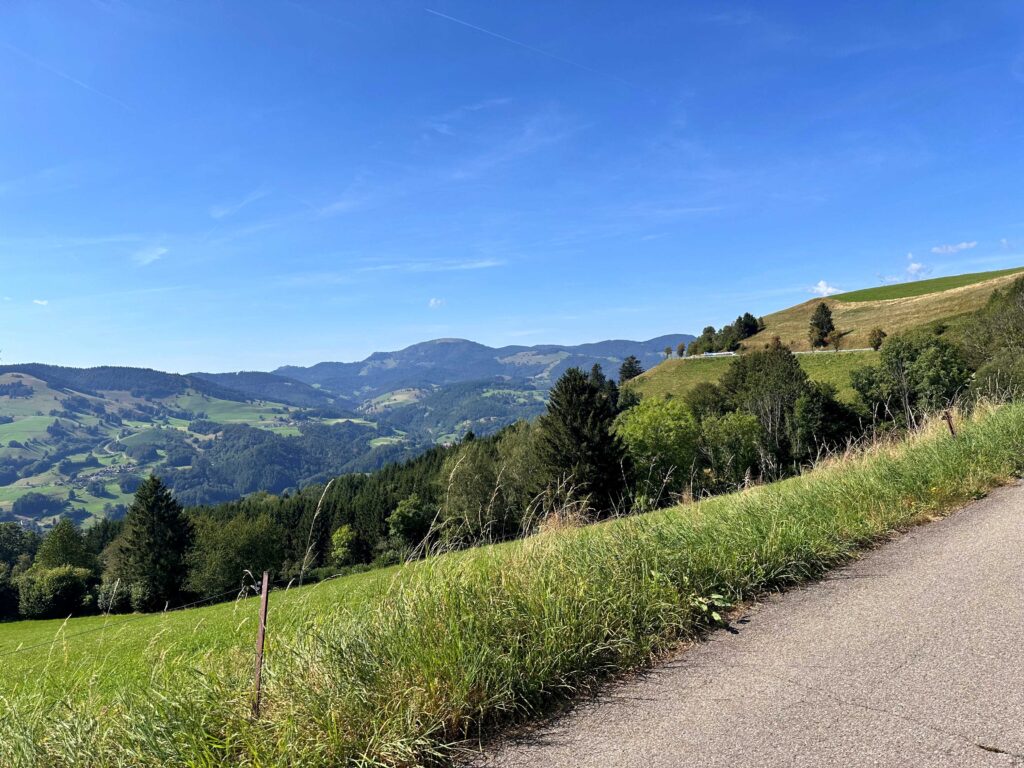 malerische Ausblicke auf die Höhen und Täler des Südschwarzwalds